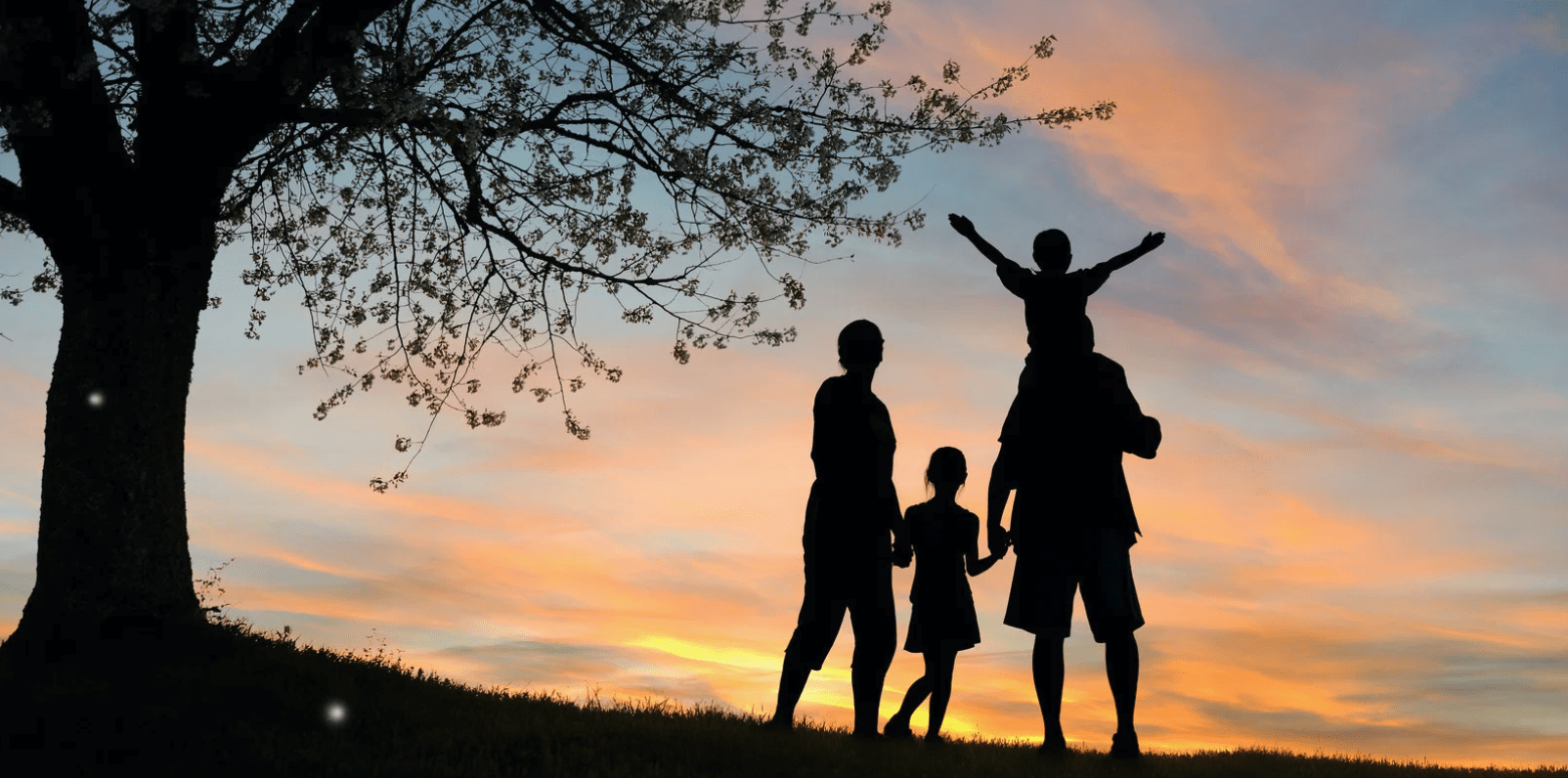 Estate Planning in Dallas